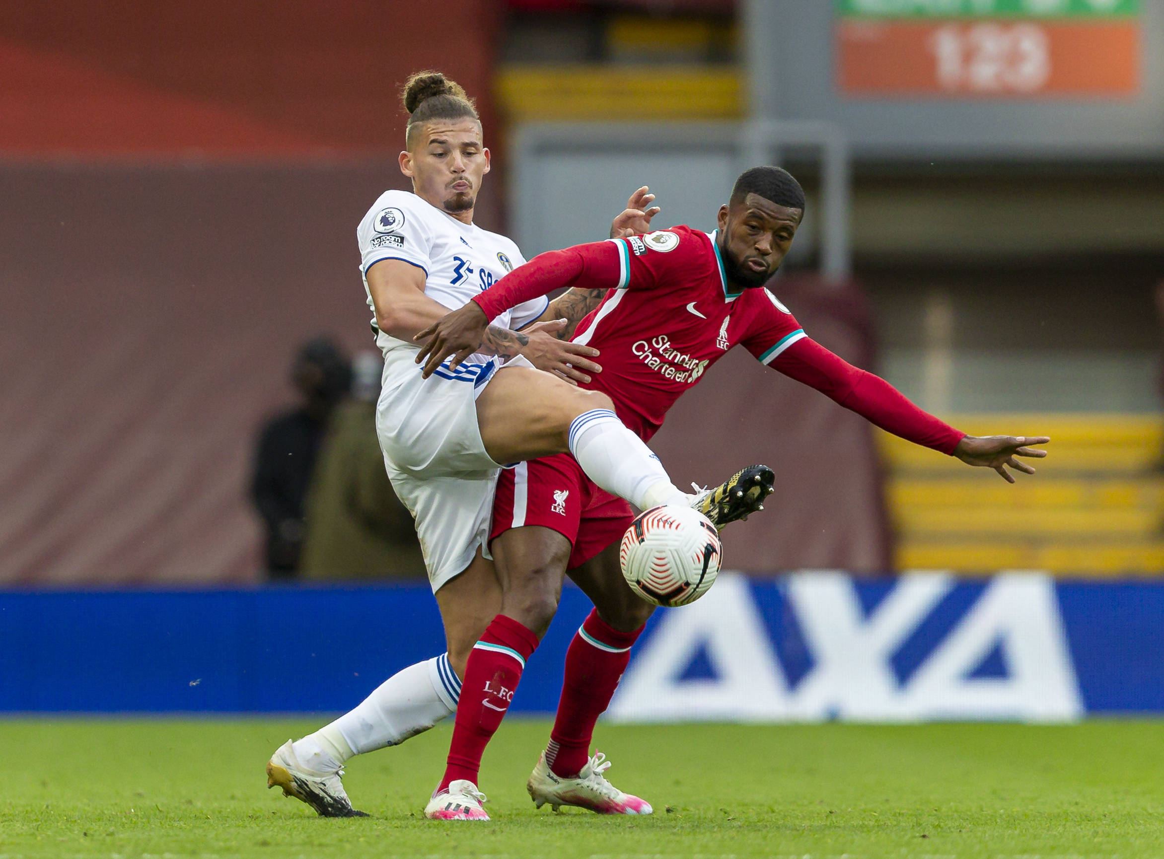 成功保护了 成功保护了